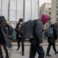 Understanding the Diversity of Students in Brooklyn, New York Schools