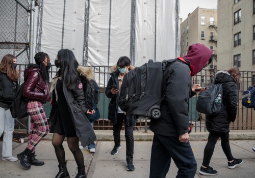 Understanding the Diversity of Students in Brooklyn, New York Schools